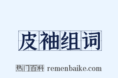 皮袖组词是什么意思的图片